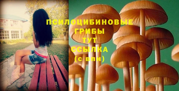 ECSTASY Алексин