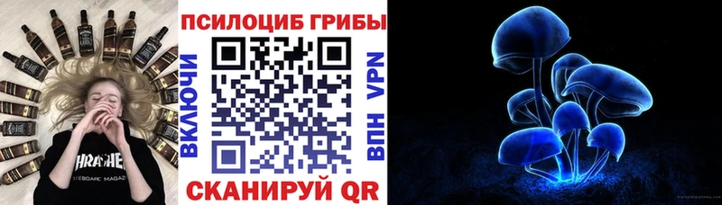Галлюциногенные грибы прущие грибы  blacksprut   Самара 